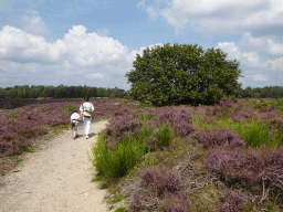 Miaomiao and Max with trees and purple heather near the top of the Posbank hill