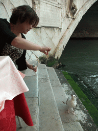 Miaomiao feeding a seagull at the Al Buso restaurant under the Ponte di Rialto bridge over the Canal Grande