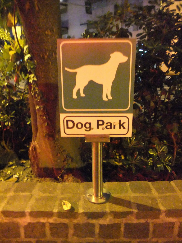 `Dog Park` sign at a square in Mestre, by night