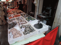 Fish market stall at the Campo della Pescaria square