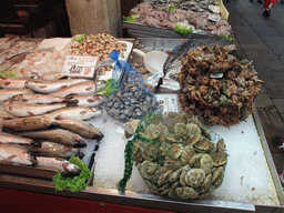 Fish market stall at the Campo della Pescaria square