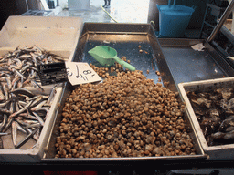 Fish and seafood at the fish market at the Calle Beccarie Cannaregio street