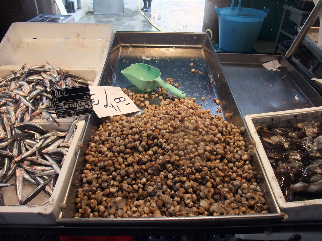 Fish and seafood at the fish market at the Calle Beccarie Cannaregio street