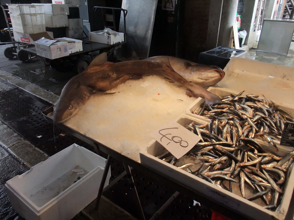 Fish at the fish market at the Calle Beccarie Cannaregio street