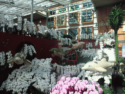 Left side of the North Korea pavilion in the Villa Flora building at the Green Engine section