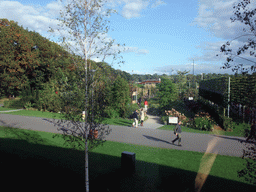 Gardens at the Education and Innovation section, viewed from the upper floor of the My Green World building