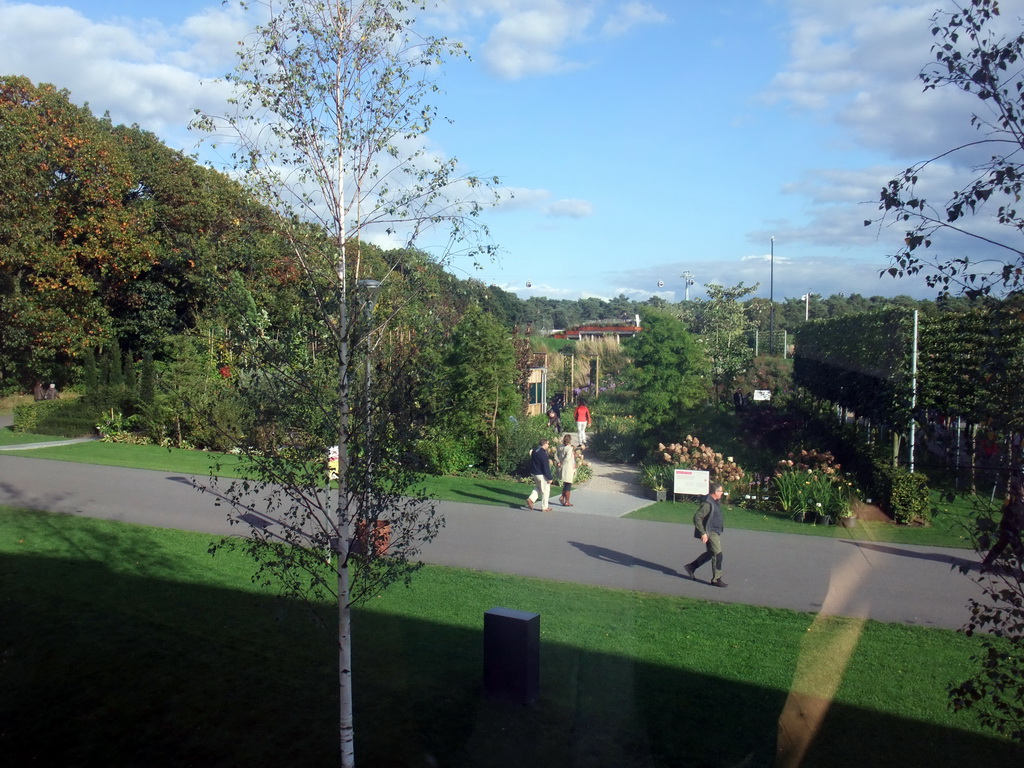 Gardens at the Education and Innovation section, viewed from the upper floor of the My Green World building