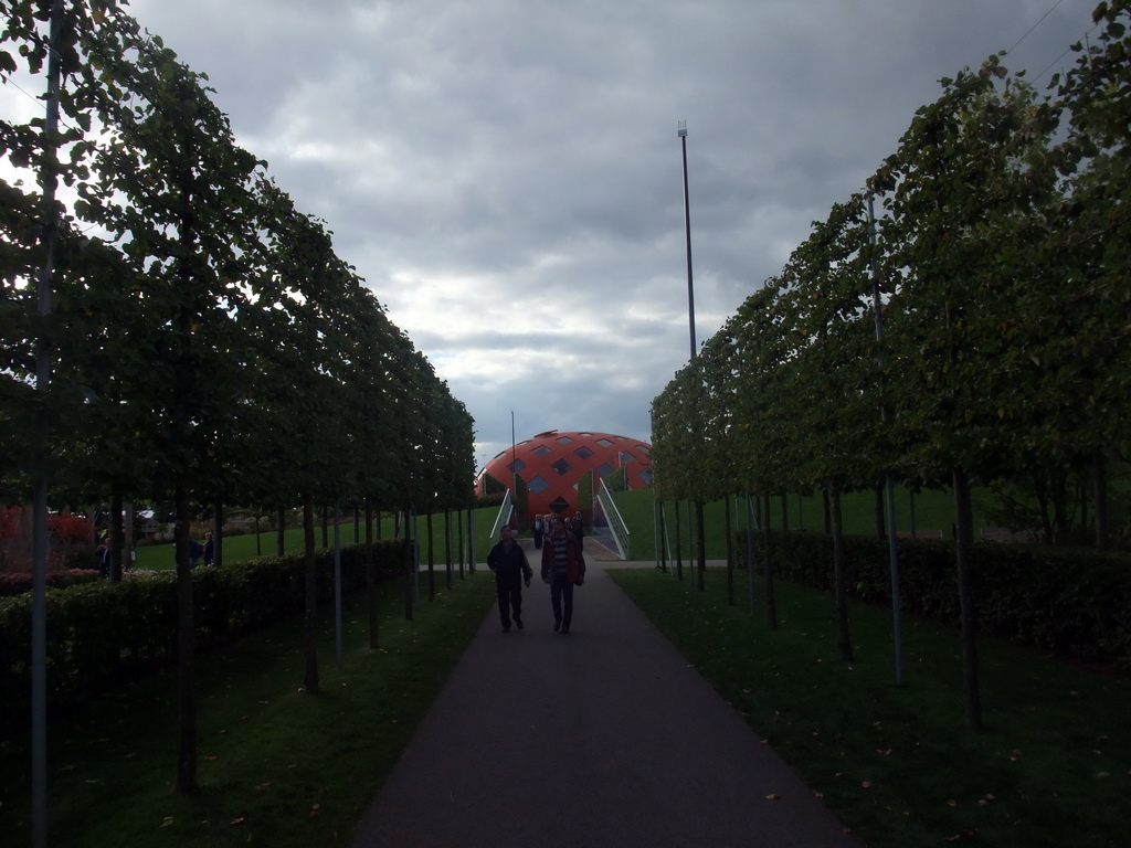 Trees and the My Green World Building at the Education and Innovation section