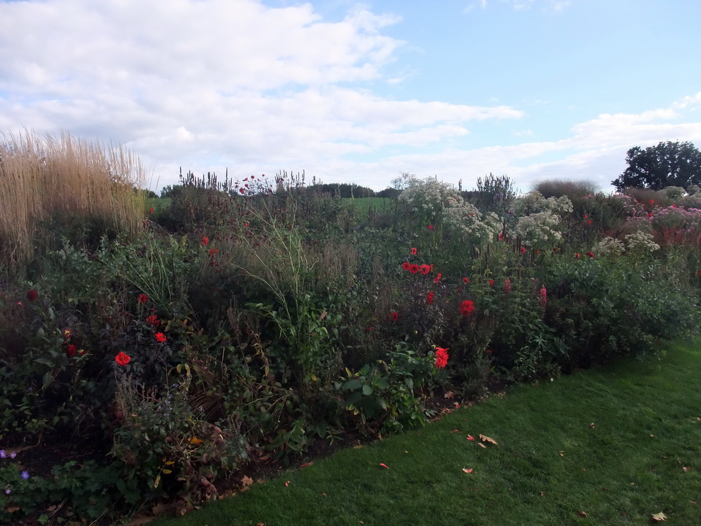 Plants at the Education and Innovation section