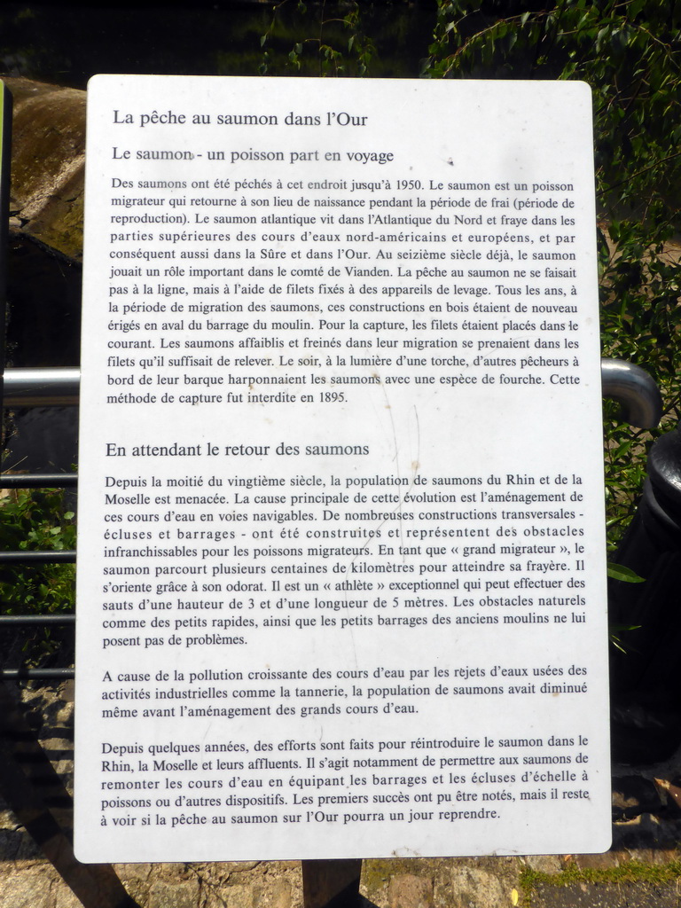 Information on salmon fishing in the Our river, at the Rue Victor Hugo street