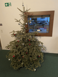 Christmas tree at the first floor of the Benediktushaus im Schottenstift hotel