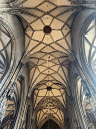 Ceiling of the nave of St. Stephen`s Cathedral