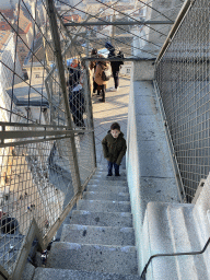 Max on a staircase at the viewing platform at the North Tower of St. Stephen`s Cathedral