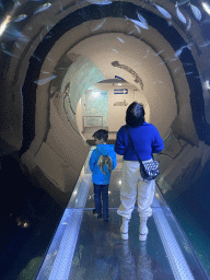 Miaomiao and Max at the Atlantic Tunnel at the ground floor of the Haus des Meeres aquarium