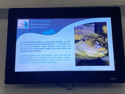 Explanation on the Green Anaconda at the first floor of the Haus des Meeres aquarium