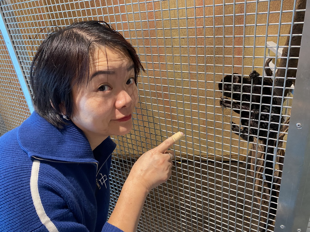 Miaomiao with a Saddle-Back Tamarin at the Tropical House at the second floor of the Haus des Meeres aquarium