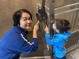 Miaomiao and Max with Saddle-Back Tamarins at the Tropical House at the second floor of the Haus des Meeres aquarium