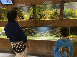 Miaomiao and Max with fishes at the third floor of the Haus des Meeres aquarium