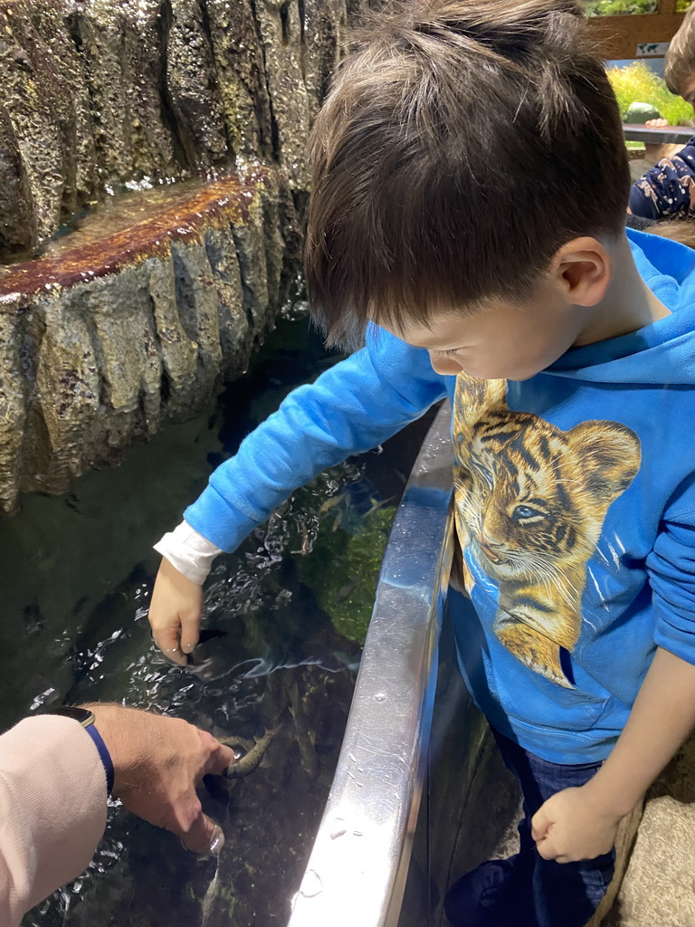 Tim and Max with Doctor Fish at the third floor of the Haus des Meeres aquarium