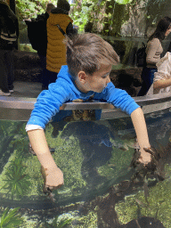 Max with Doctor Fish at the third floor of the Haus des Meeres aquarium
