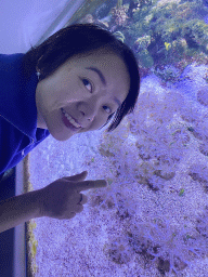 Miaomiao with Sea Anemones at the third floor of the Haus des Meeres aquarium