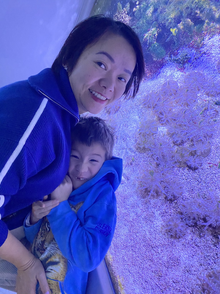 Miaomiao and Max with Sea Anemones at the third floor of the Haus des Meeres aquarium