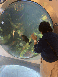Miaomiao with fishes at the Pacific Eye at the seventh floor of the Haus des Meeres aquarium