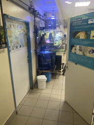 The Blauer Kreis Nursing Station at the sixth floor of the Haus des Meeres aquarium