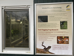 Information on Foot Flagging Frog Research in front of the Frog Container at the Schönbrunn Zoo