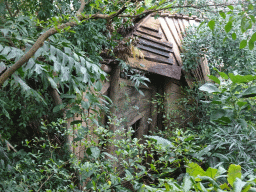 Shed at the Rainforest House at the Schönbrunn Zoo
