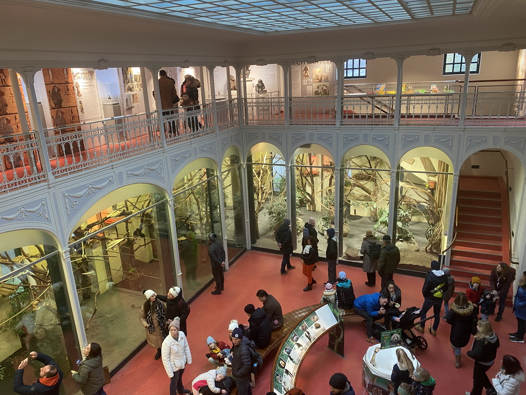 Interior of the Monkey House at the Schönbrunn Zoo, viewed from the upper floor