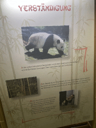 Information on the Giant Panda at the Panda House at the Schönbrunn Zoo