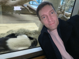 Tim with a sleeping Giant Panda at the Panda House at the Schönbrunn Zoo