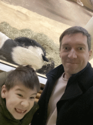 Tim and Max with a sleeping Giant Panda at the Panda House at the Schönbrunn Zoo