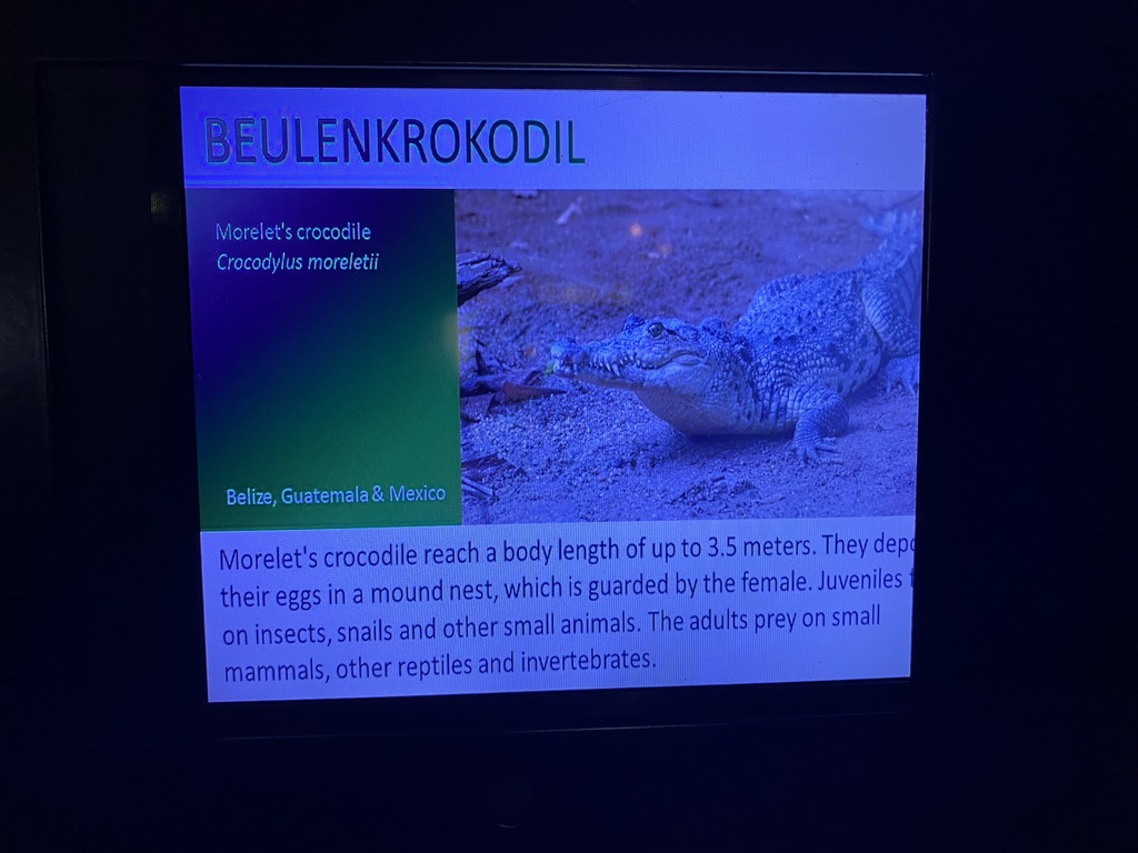 Explanation on the Morelet`s Crocodile at the Krokopavillon at the Aquarium-Terrarium House at the Schönbrunn Zoo