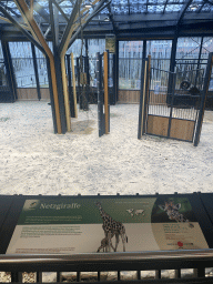 Interior of the Giraffe House at the Schönbrunn Zoo, viewed from the upper floor