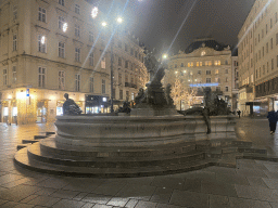 The Donnerbrunnen fountain at the Neuer Markt square, by night
