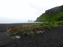 The west side of the Black Sand Beach with the Reynisdrangar rocks