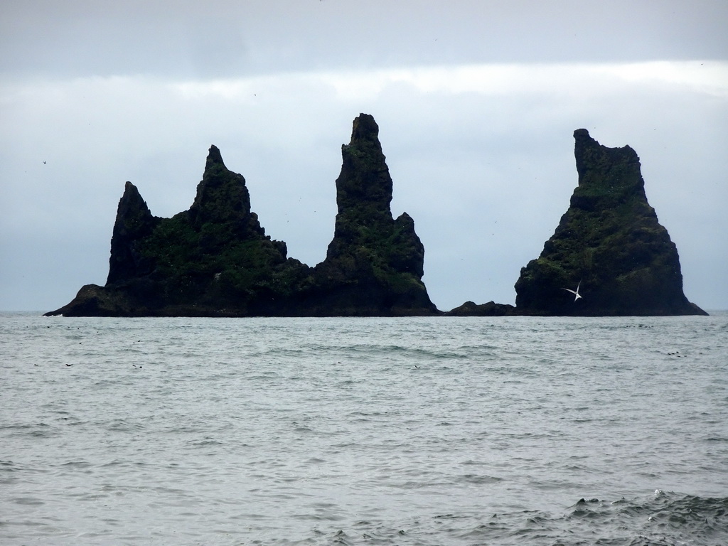The Reynisdrangar rocks at the west side of the Black Sand Beach