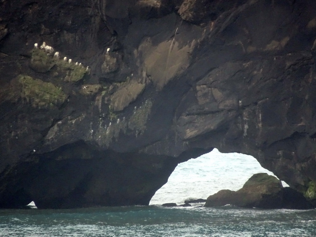 Birds at the Rock Arch of the Dyrhólaey peninsula, viewed from the lower viewpoint