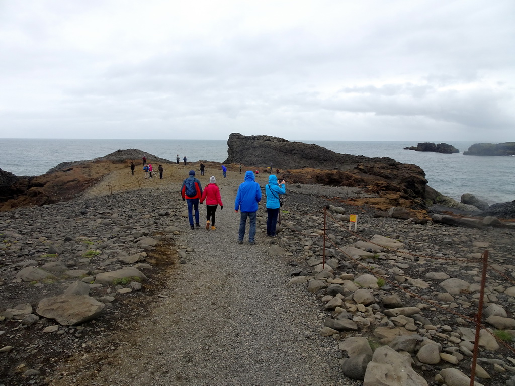 The lower viewpoint of the Dyrhólaey peninsula