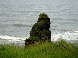 Rock with a Puffin at Kirkjufjara beach, viewed from the lower viewpoint of the Dyrhólaey peninsula