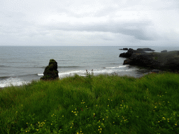 Kirkjufjara beach, viewed from the lower viewpoint of the Dyrhólaey peninsula