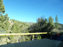 Hills and trees just north of the town of Trevejos, viewed from the rental car on the TF-51 road