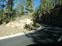 Trees and rocks along the TF-21 road just north of town, viewed from the rental car