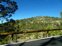 Hills and trees along the TF-21 road to Mount Teide, viewed from the rental car