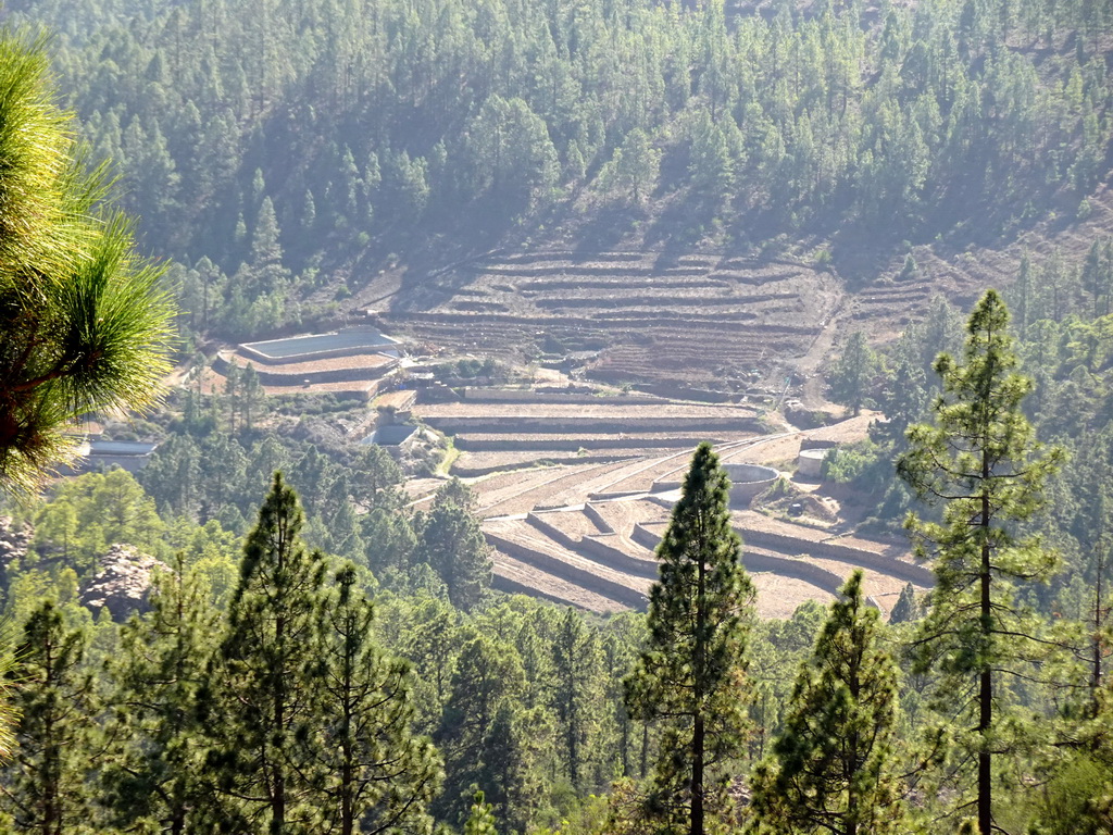 Terraces at the town of La Escalona, viewed from a parking place along the TF-21 road