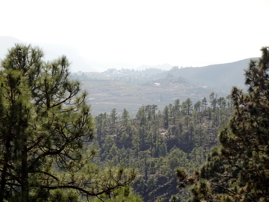 Terraces at the town of La Escalona, viewed from a parking place along the TF-21 road