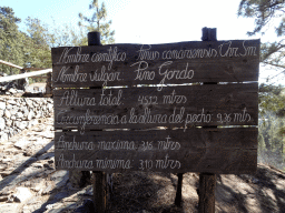 Information on the Pino Gordo pine tree