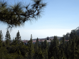 The north side of town, viewed from the Pino Gordo pine tree